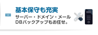 基本保守も充実 サーバー・ドメイン・メール・バックアップもお任せ